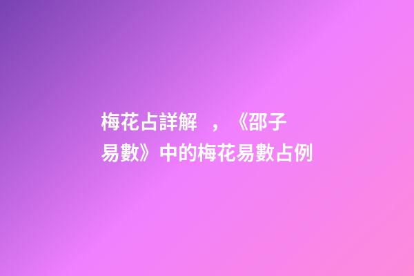 梅花占詳解，《邵子易數》中的梅花易數占例